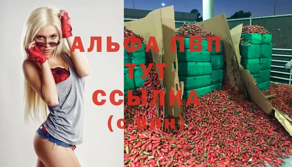 ГАЛЛЮЦИНОГЕННЫЕ ГРИБЫ Ельня