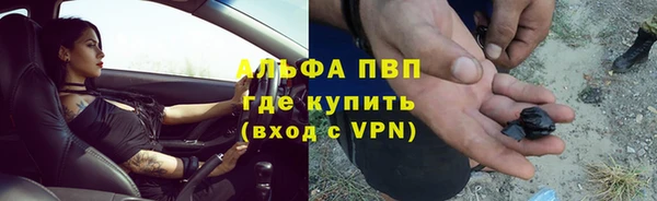 стаф Белоозёрский