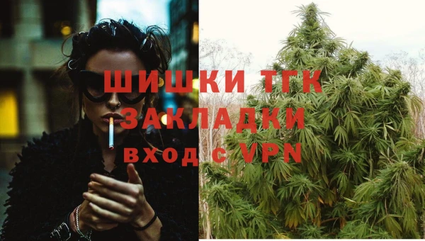 стаф Белоозёрский