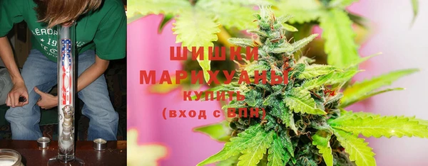 стаф Белоозёрский