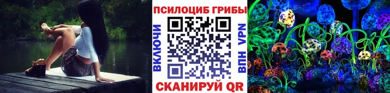 Галлюциногенные грибы Psilocybe  MEGA вход  Кстово 