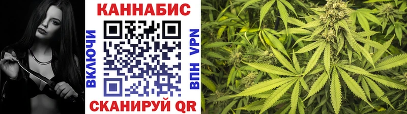Бошки Шишки план Кстово